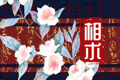 额头两边窄中间凸面相 什么额头面相好 额头两边窄中间凸面相 什么额头面相好