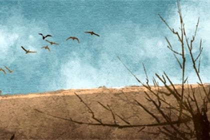 一掌经六道轮回佛道是哪个道 佛道即天道 一掌经六道轮回佛道是哪个道 佛道即天道