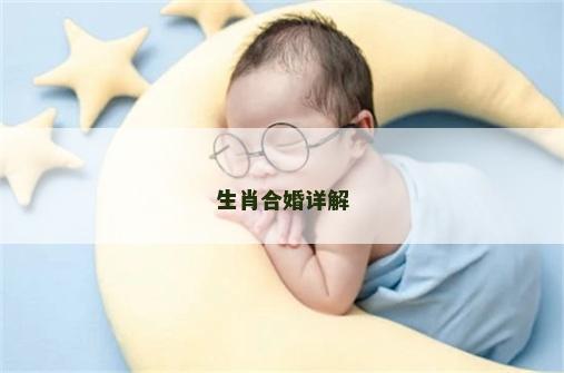 生肖合婚详解