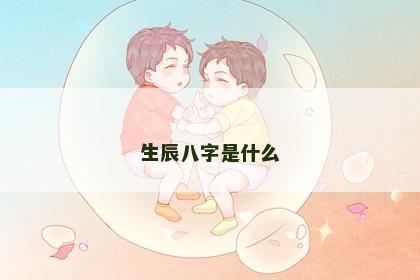 生辰八字是什么
