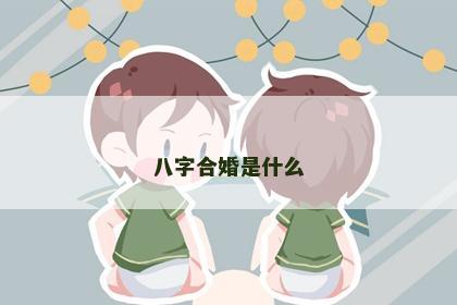 八字合婚是什么