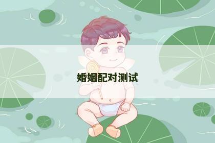 婚姻配对测试