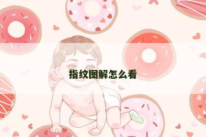 指纹图解怎么看
