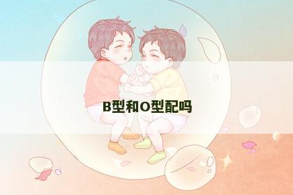 B型和O型配吗
