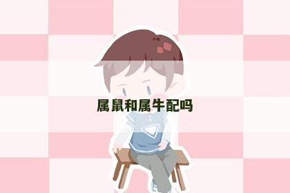 属鼠和属牛配吗