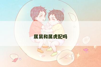 属鼠和属虎配吗