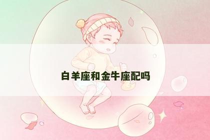白羊座和金牛座配吗
