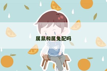属鼠和属兔配吗